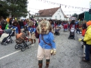 Fasnet Brochenzell_11